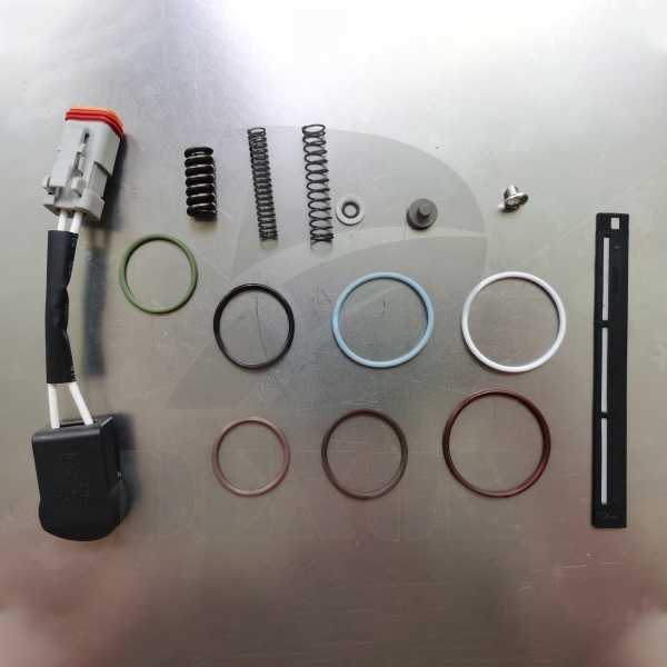 Suqian Dexun sends Cummins M11 N14 L10 Celect Injector Repair kits To Customer