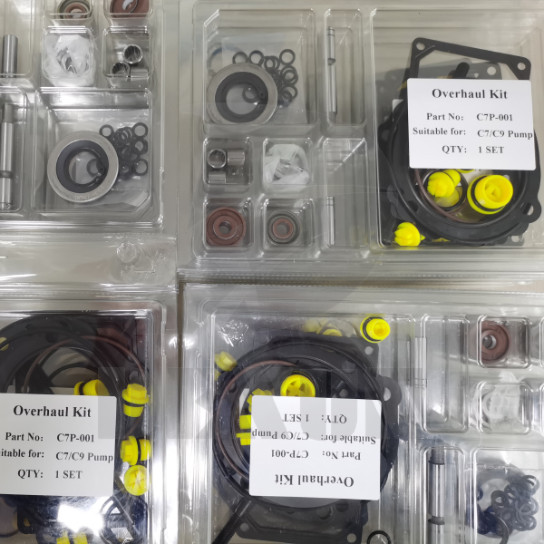 Suqian Dexun sends Caterpillar C7 C9 Fuel Pump Overhaul kits Repair Kits to Customer