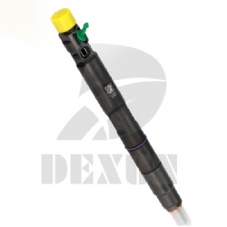 Delphi Common Rail Injector 28317158 For JAC 320-06881